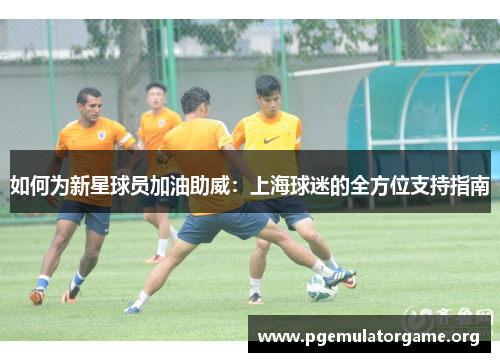 如何为新星球员加油助威：上海球迷的全方位支持指南