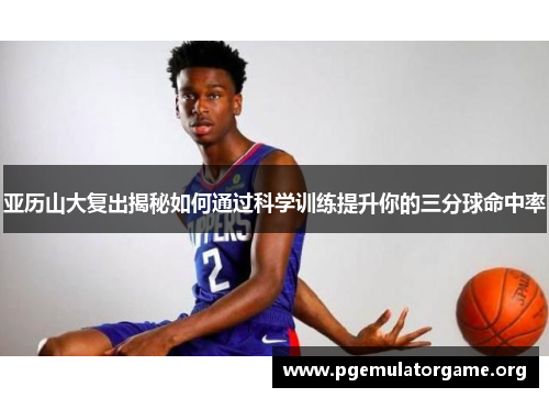 亚历山大复出揭秘如何通过科学训练提升你的三分球命中率