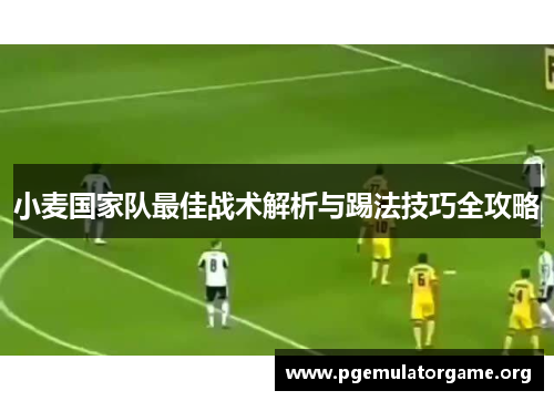 小麦国家队最佳战术解析与踢法技巧全攻略