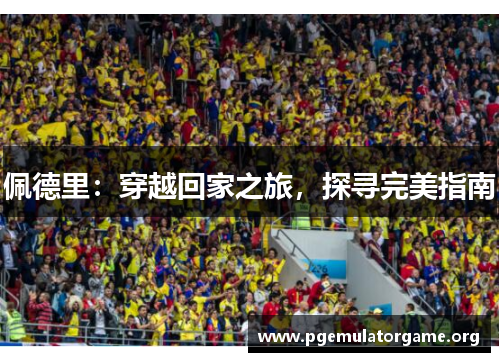 佩德里：穿越回家之旅，探寻完美指南