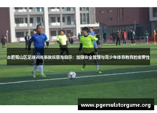 合肥蜀山区足球训练事故反思与启示：加强安全管理与青少年体育教育的重要性