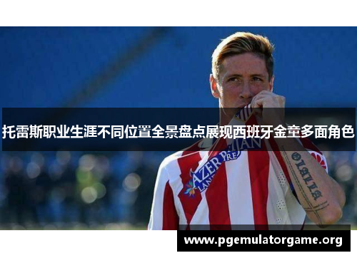 托雷斯职业生涯不同位置全景盘点展现西班牙金童多面角色