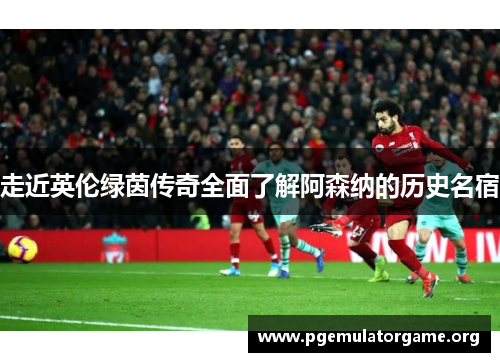 走近英伦绿茵传奇全面了解阿森纳的历史名宿