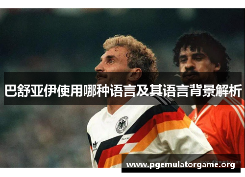 巴舒亚伊使用哪种语言及其语言背景解析 巴舒亚伊使用哪种语言及其语言背景解析