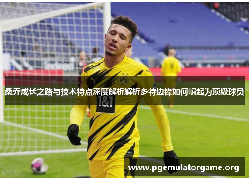桑乔成长之路与技术特点深度解析解析多特边锋如何崛起为顶级球员