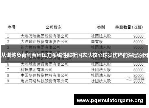 从训练负荷到赛程压力系统性解析国家队核心球员伤停的深层原因