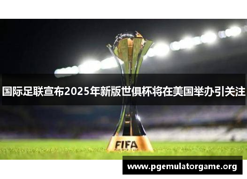 国际足联宣布2025年新版世俱杯将在美国举办引关注 国际足联宣布2025年新版世俱杯将在美国举办引关注