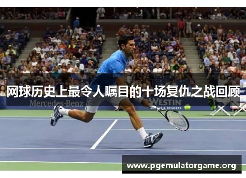 网球历史上最令人瞩目的十场复仇之战回顾 网球历史上最令人瞩目的十场复仇之战回顾