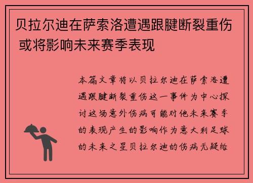 贝拉尔迪在萨索洛遭遇跟腱断裂重伤 或将影响未来赛季表现