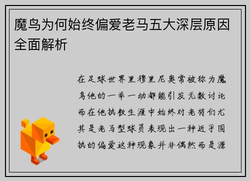 魔鸟为何始终偏爱老马五大深层原因全面解析