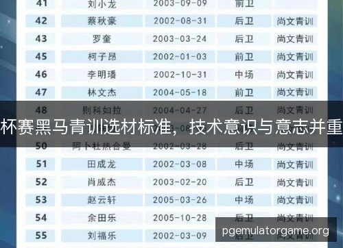杯赛黑马青训选材标准,技术意识与意志并重 杯赛黑马青训选材标准,技术意识与意志并重